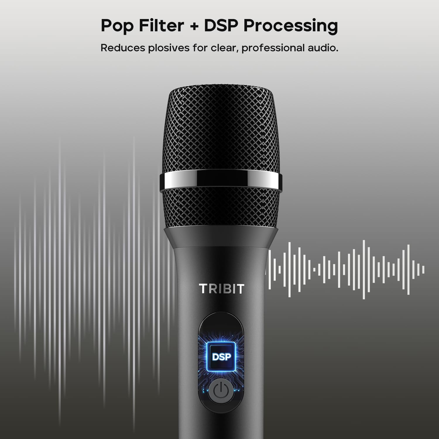 TRIBIT Wireless Dual Microphone System
