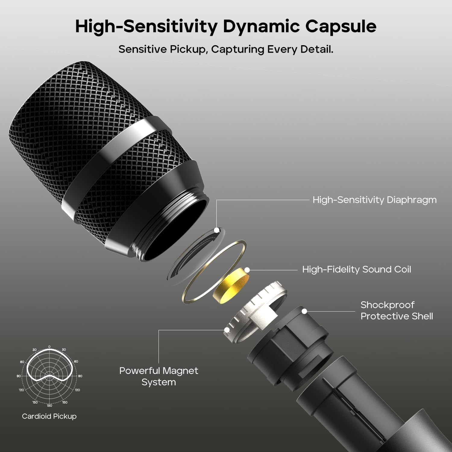 TRIBIT Wireless Dual Microphone System